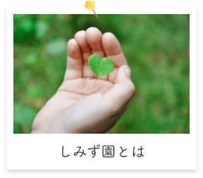 しみず園とは