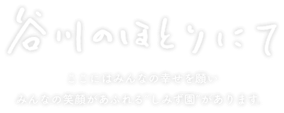 谷川のほとりにて